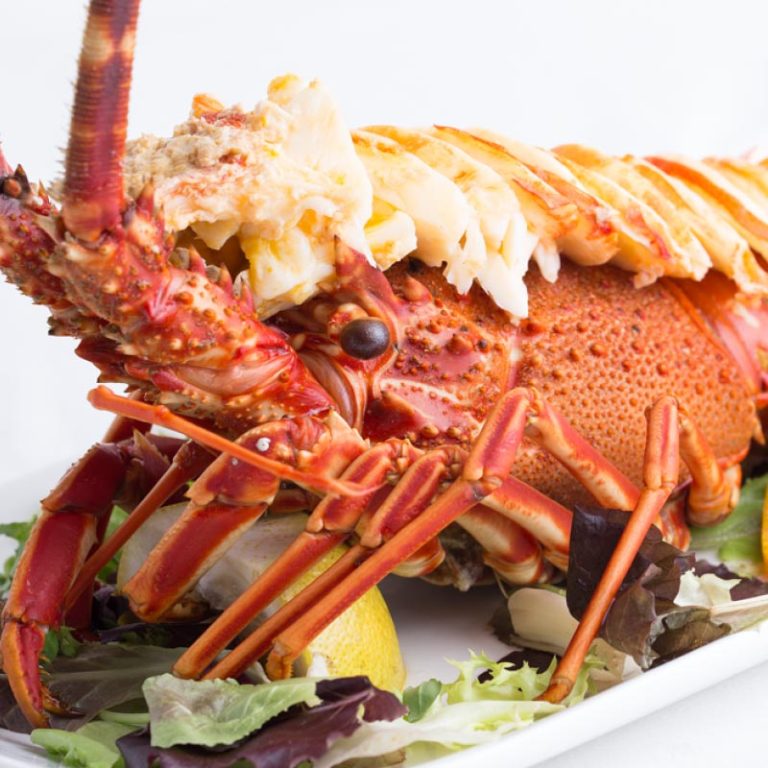 jornada de las langostas hotel astuy